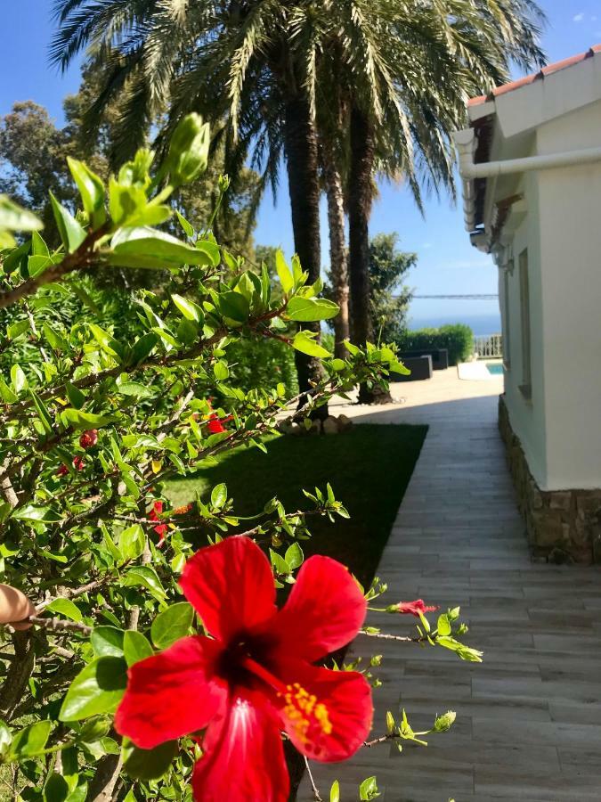 Villa Denia Costa Blanca Екстериор снимка
